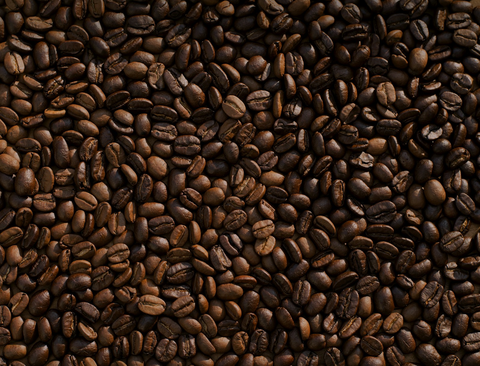 Colombian Huila washed coffee beans